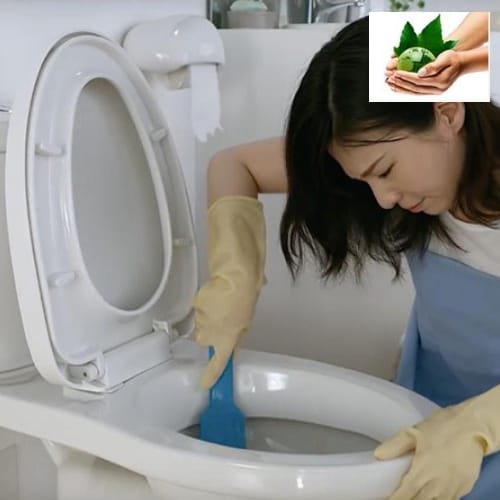 MÁCH BẠN CÁCH SỬ DỤNG BỘT THÔNG TẮC BỒN CẦU 2019 MÁCH BẠN CÁCH SỬ DỤNG BỘT THÔNG TẮC BỒN CẦU 2019