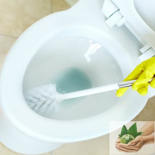 Giá Rút Hầm Cầu – Dịch Vụ Hút Hầm Cầu Nhanh Chóng Giá Rút Hầm Cầu – Dịch Vụ Hút Hầm Cầu Nhanh Chóng